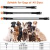 LED Dog Collar Rechargeable Hi Vis Safety Nine Color Modes USB Optical Fiber CCS