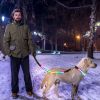 LED Dog Collar Rechargeable Hi Vis Safety Nine Color Modes USB Optical Fiber CCS