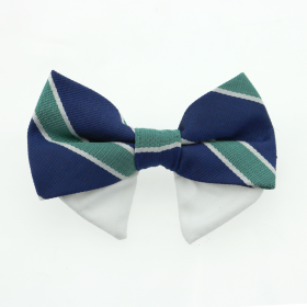 Bow Tie Universal Dog Classy (Color: Navy Blue and Green Stripe, size: Type 1)