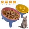 Unbranded — Raised Tilted Dog Food Bowl Elevated Anti Vomiting Easy Swallow PET Material Dishwasher Safe Food Grade Puppy