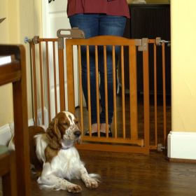 Richell One-Touch Gate II Side Extension Wood Tension Mounted Doorway Panel (Option: Touch Gate II in Brown)