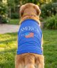 Doggie Design America Dog Shirt Patriotic Tee Celebration