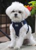 Doggie Design American River Solid Ultra Choke Free Dog Harness Navy