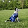 Doggie Design Blue Gingham Dog Dress Picnic Harness Matching Leash Set