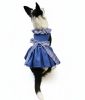 Doggie Design Blue Gingham Dog Dress Picnic Harness Matching Leash Set