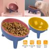 Unbranded — Raised Tilted Dog Food Bowl Elevated Anti Vomiting Easy Swallow PET Material Dishwasher Safe Food Grade Puppy