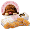 French Macaron Dog Treat Gift Box 6 Count Oven Baked Gourmet Cookies CCS