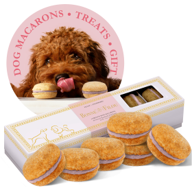 French Macaron Dog Treat Gift Box 6 Count Oven Baked Gourmet Cookies CCS (Flavor: Strawberry)