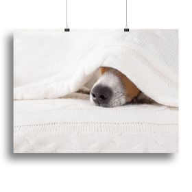 Pet Life Jack Russell Terrier Canvas Print Poster Sleeping Dog Artwork Wood Frame (Type: Poster Print, Size: 12" x 8" / 30cm x 20cm (approx))