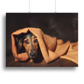 Pet Life Small Dog Hiding Under Orange Blanket Canvas Print Wall Art HD Frame (Type: Standard Framed Canvas Print, Size: 40" x 26" / 100cm x 65cm (approx))