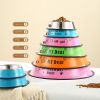 Stainless Steel Dog Bowl Anti Skid Rubber Base Vibrant Color Hygienic Metal CCS