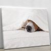 Pet Life Jack Russell Terrier Canvas Print Poster Sleeping Dog Artwork Wood Frame