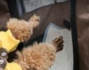 Dog Playpen Oxford Cloth Breathable Mesh Portable Containment Pop Up Frame CCS