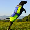 Alpine — All Weather Waterproof Dog Coat — Reflective Warm Fleece Lined Adjustable Fit Weatherproof Adventure Outerwear Small Medium Large Dogs