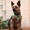 Doggie Design American River Ombre Step In Mesh Harness Reflective Safety Adjustable Choke Free Secure Everyday Walking Lightweight