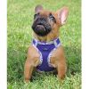 Doggie Design — American River Choke Free Harness Hawaiian Trim — Comfortable Stylish Tropical Adventure Adjustable Secure Fit Everyday Walking Dogs