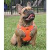 Doggie Design — American River Choke Free Harness Hawaiian Trim — Comfortable Stylish Tropical Adventure Adjustable Secure Fit Everyday Walking Dogs