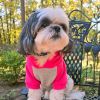 Fitwarm — Dog Hoodie —  Color Block Hoody Thicker Warm Pocket Soft Comfortable Stylish Everyday Layer Kangaroo Pocket