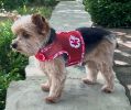 Doggie Design CuddlePup Pajamas Cotton Soft Lightweight Sleepwear Snuggle Breathable Open Belly