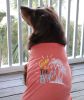 Doggie Design — Gone To The Beach Dog Shirt — Lightweight Casual Outfit Soft Comfortable Fit Summer Style Everyday Wear Small Medium Dogs