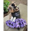 Doggie Design Halloween Dog Harness Dress Festive Outfit Matching Leash Lightweight Practical Playful Seasonal Dogs