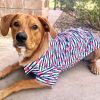 Doggie Design — Hawaiian Camp Shirt — 100 Percent Cotton Tropical Print Button Up Lightweight Summer Apparel Leash Hole Multiple Sizes Styles