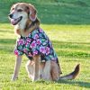 Doggie Design — Hawaiian Camp Shirt — 100 Percent Cotton Tropical Print Button Up Lightweight Summer Apparel Leash Hole Multiple Sizes Styles