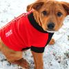 Doggie Design Highline Fleece Step In Dog Coat Adjustable Touch Fastener Closure Warm Pullover Lightweight Winter Multiple Options
