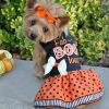 Doggie Design Halloween Dog Harness Dress Festive Practical Matching Leash