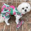 Doggie Design Juicy Watermelon Dog Dress Matching Leash Picnic Hook and Loop Summer Lightweight Cotton Seasonal Outings Photo Moments