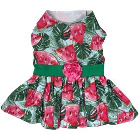 Doggie Design Juicy Watermelon Dog Dress Matching Leash Picnic Hook and Loop Summer Lightweight Cotton Seasonal Outings Photo Moments (Size: medium)