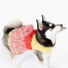 Doggie Design Movie Theater Popcorn Dog Dress Matching Leash Lightweight Novelty Fun Summer Outings Photo Moments Charming Apparel
