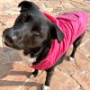 Doggie Design — Packable Waterproof Raincoat — Lightweight Mesh Lined Windbreaker Compact Travel All Weather Protection Small Medium Large Breeds