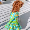 Touchdog — Pineapple Luau Dog Harness Dress — Matching Leash Tropical Beach Print with D-Ring for Cheerful Summer Outings and Photos