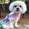 Doggie Design — Pink Teal Polka Dot Lace Dog Dress — Adjustable Leash Attached Stylish Apparel Small Medium Large Dogs Fashion Harness Lightweight