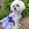 Doggie Design — Purple Butterfly Dog Harness Dress — Lightweight Spring Fashionable Secure Leash DRing Closure Polka Dot Bow Cotton Blend Apparel