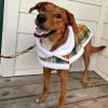 Doggie Design Dog Harness Sherpa-Lined Adjustable Matching Leash Winter Coat Set