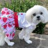 Doggie Design Strawberry Picnic Dog Dress Lace Collar Embroidered Belt Leash