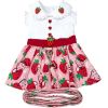Doggie Design Strawberry Picnic Dog Dress Lace Collar Embroidered Belt Leash