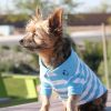 Striped Dog Polo Shirt Embroidered Cotton Light Blue Niagara White Casual