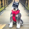 Doggie Design — Venture Paw Pull Control Dog Harness — Durable Water Resistant Canvas Comfortable Secure Adjustable Everyday Walking Small Medium Dogs