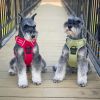 Doggie Design — Venture Paw Pull Control Dog Harness — Durable Water Resistant Canvas Comfortable Secure Adjustable Everyday Walking Small Medium Dogs