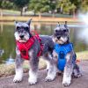 Doggie Design — Venture Paw Pull Control Dog Harness — Durable Water Resistant Canvas Comfortable Secure Adjustable Everyday Walking Small Medium Dogs