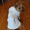 Unbranded — Luxury Cotton Terry Bathrobe Gold Crown Embroidered Adjustable Wrap Soft Absorbent Dog Apparel Comfortable Fit