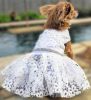 Doggie Design — White Lace Dog Wedding Dress — Elegant Formal Gown Matching Leash Special Unforgettable Bridal Style Comfortable Fit Small Medium Dogs