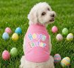 Doggie Design Hoppy Easter Dog Shirt Spring Easter Theme