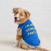 Doggie Design Im Not Wearing Pants Dog Shirt Royal Blue Humorous Tee