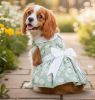 Doggie Design Mint Green Daisy Dog Dress Harness Matching Leash Set