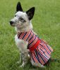 Doggie Design Patriotic Dog Dress Stars Stripes Harness Matching Leash