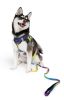 Doggie Design — American River Ombre Dog Leash — Comfortable Reliable Secure Lightweight Stylish Everyday Walking Lead Matching Harness Collection